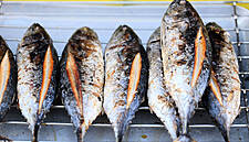 Capitaine Houat Factory Rescued By Global Seafoods Investment