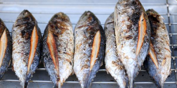 The Future of Fish: Investors Get Into Sustainable Aquaculture