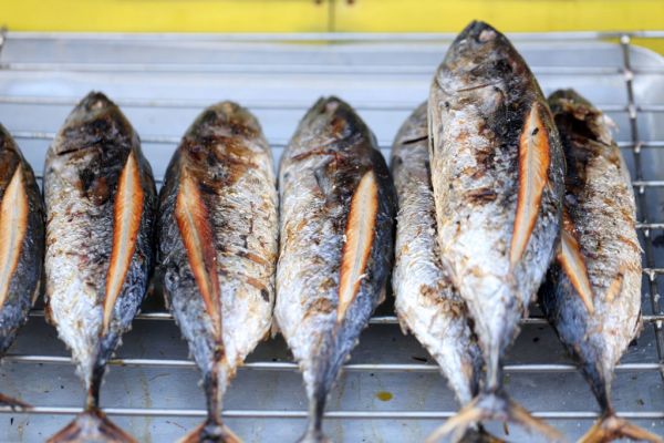 Eroski Buys First Fish Catch In Gipuzkoa