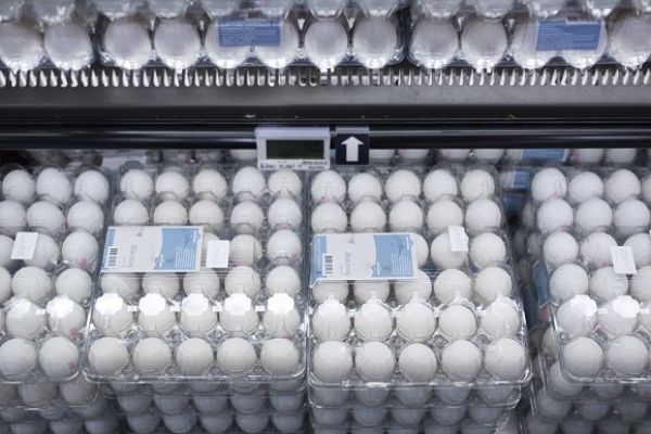 Dansk Supermarked Group To Phase Out Battery Eggs