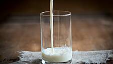 Croatia’s Fortenova Group To Purchase Assets Of Meggle Dairy In Osijek