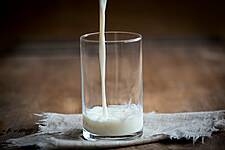 Croatia’s Fortenova Group To Purchase Assets Of Meggle Dairy In Osijek