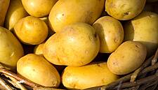 Sainsbury's New Packaging Will 'Save Our Spuds'