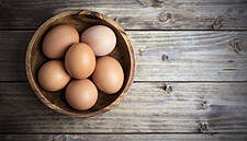 Franprix And Leader Price To Stop Selling Battery Eggs By 2020