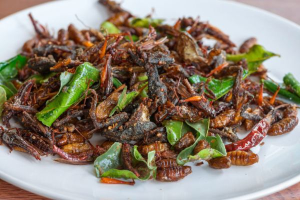 A Mouth Full Of Crickets? Lobbyists Speak Up For Edible Insects
