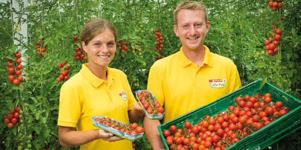 Spar Austria Introduces Organic Vegetable Range And Honey From City Bees