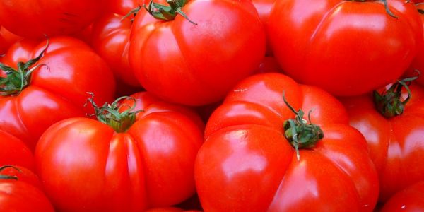 Spanish Researchers Design Device To Test Levels Of Pesticides In Vegetables