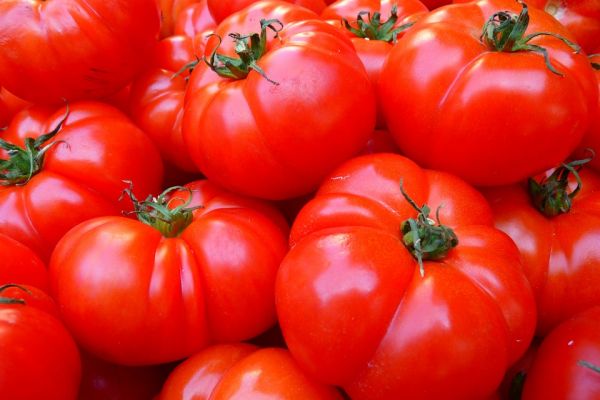 Spanish Researchers Design Device To Test Levels Of Pesticides In Vegetables