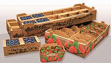 Smurfit Kappa Scores At National Pakstar Awards In Poland