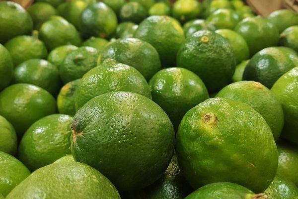 Spanish Lime Production Expected To Grow By 22%