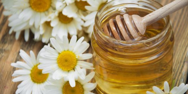 Changeable Weather Impacting Italian Honey Production