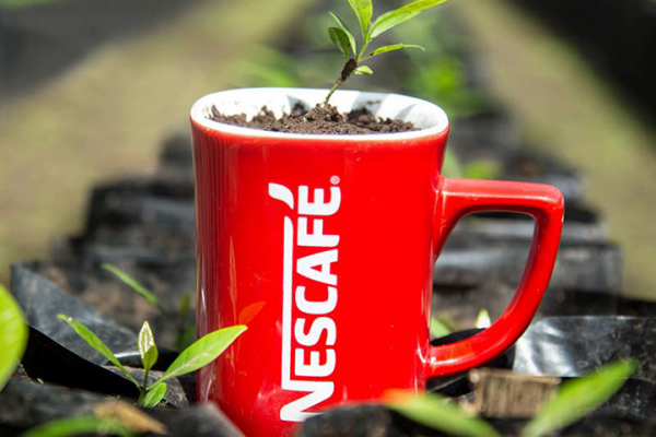 Nestlé Considers Local Coffee Production In Angola