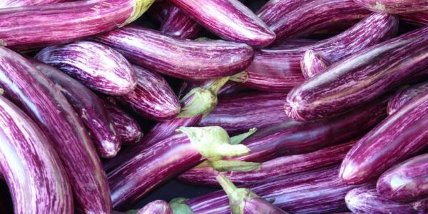Alnatura Adds 'Traditional' Varieties Of Vegetables To Its Range