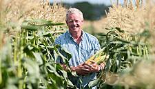 British Sweetcorn Sales Soar At Waitrose