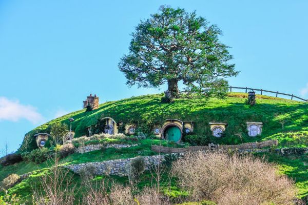 Winery Seeks 'Lord of the Rings' Inspiration In Kiwi Export Drive
