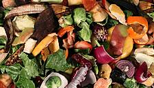 Portugal Pledges To Cut Food Waste In Half By 2030