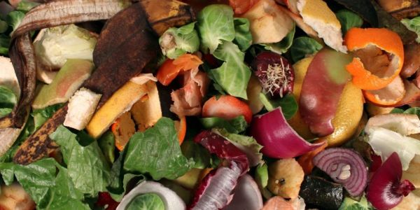 Supermarkets Need To Do More To Fight Food Waste, Study Finds