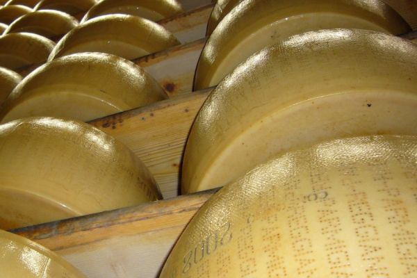 Cheese Executive Pleads Guilty In Parmesan-Misbranding Case