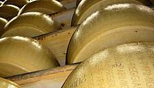 Cheese Executive Gets Probation, Fine For Fake Parmesan