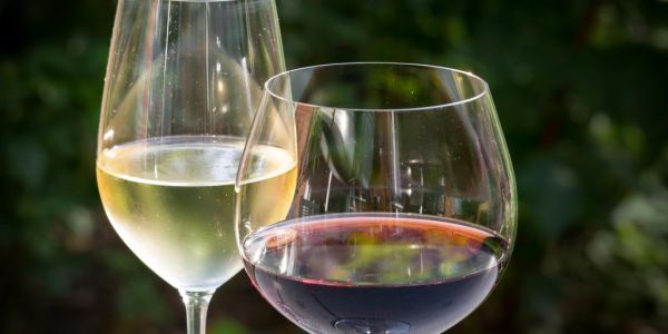 Average Price Of Wine In UK Increases By 4%
