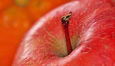 Les Mousquetaires Presents 'Green' Private Label Apple Line