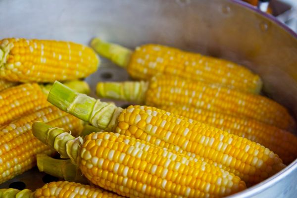Drought-Ravaged Zambian Corn Crop May Fall To Seven-Year Low