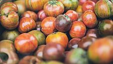 Conad, Crai And Auchan Launch New Organic Private-Label Brands