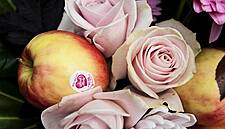 Pink Lady® Gets Ready To Celebrate Valentine’s Day