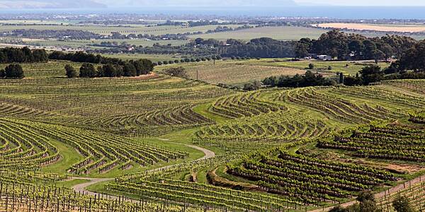 Australian Wine Exports Reach $2.1 Billion