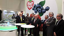 Bfruit And Special Fruit Enter Into Strategic Alliance