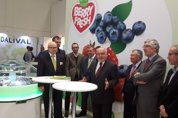 Bfruit And Special Fruit Enter Into Strategic Alliance