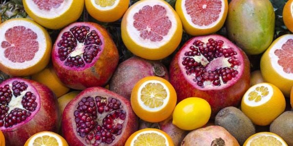 Delegation Presents Green Morocco Plan And Produce At Fruit Logistica