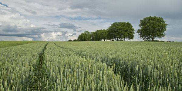 France Passes Law To Protect Farmers Against Neighbours' Complaints Over Noise And Smells