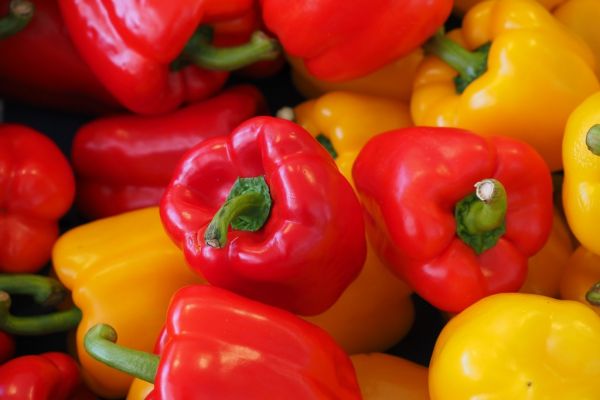 Top Pepper Producer Vietnam Seen Boosting 2016 Exports By 13 Per Cent