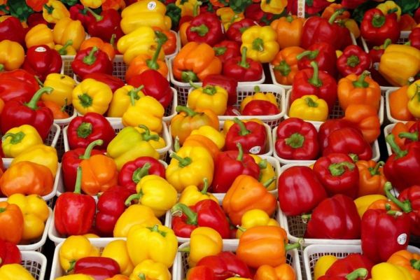 Sales Of Fresh Produce Up In Spain In September