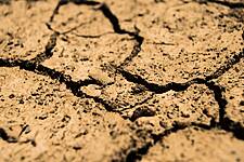 Nervous North American Farmers Set To 'Seed In Faith' Into Parched Soils