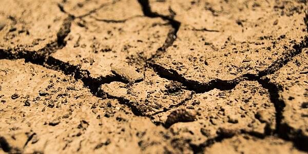 France Asks EU For Early Farm Aid To Help Drought-Hit Farmers