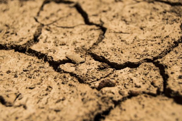 France Asks EU For Early Farm Aid To Help Drought-Hit Farmers