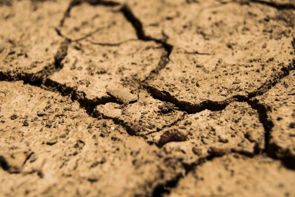 ‘Catastrophe’ Seen By South Africa Agriculture Due To Drought