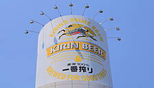 Japan's Kirin Confirms Lion Dairy Sale Talks With Bega Cheese