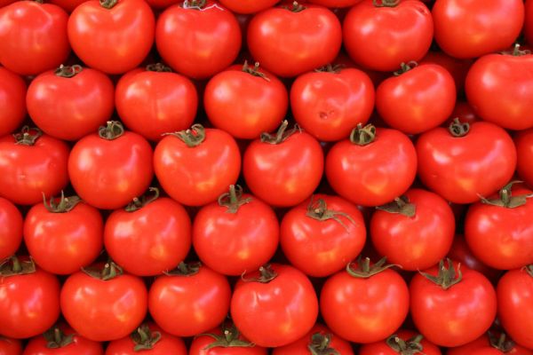 Italy Confirmed As Second-Biggest Tomato Producer