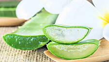 'No Evidence' Of Aloe Vera Found In The Aloe Vera at Wal-Mart, CVS