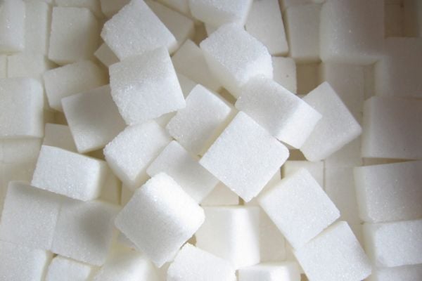 Sugar High Turns Into A Crash With Longest Rout In 56 Years