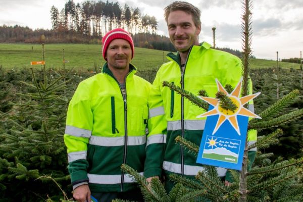 Migros To Sell Locally-Sourced Christmas Trees