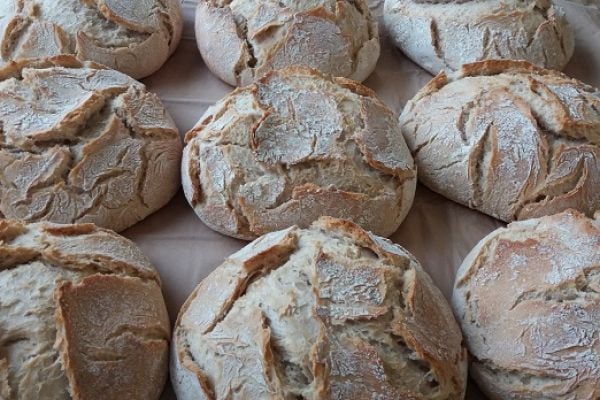 Portugal's Continente Introduces 100% Portuguese Bread To Shelves