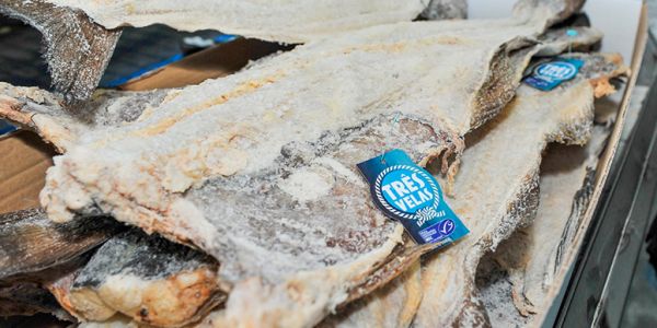 Lidl Portugal First to Offer Only Sustainable Origin Cod