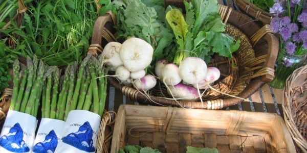 Italian Organic Food Market Grows 20% In 2016