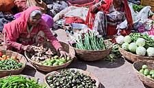 France, Japan And Canada Top Food Sustainability Index