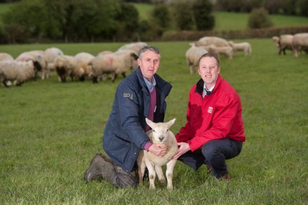 SuperValu Predicts €17 Million In Sales Of Lamb This Easter
