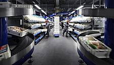 Vanderlande Announces Record Revenue, Order Book And Profit